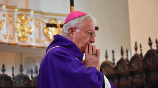 Morto Francesco Ricchiuti, fratello maggiore dell'Arcivescovo: il cordoglio della diocesi