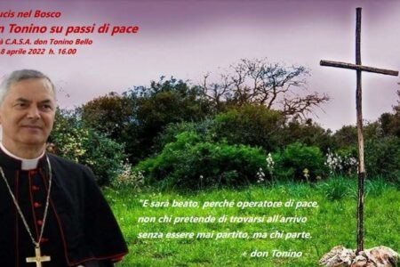 Via Crucis nel Bosco della CASA. Con “don Tonino su passi di pace” – Luce e vita