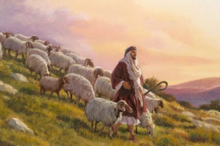 Pecore che ascoltano – Luce e vita