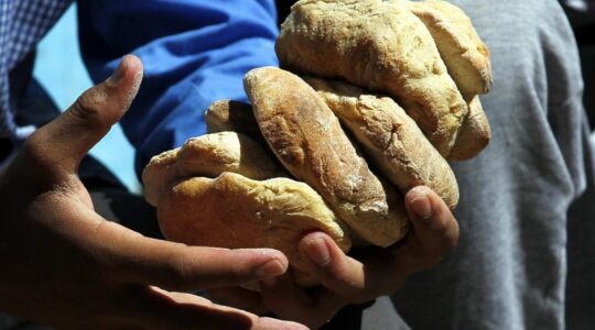 torniamo al gusto del pane — Arcidiocesi Bari-Bitonto