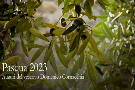 Auguri per la Pasqua 2023 del Vescovo Domenico Cornacchia – Diocesi di Molfetta-Ruvo-Giovinazzo-Terlizzi